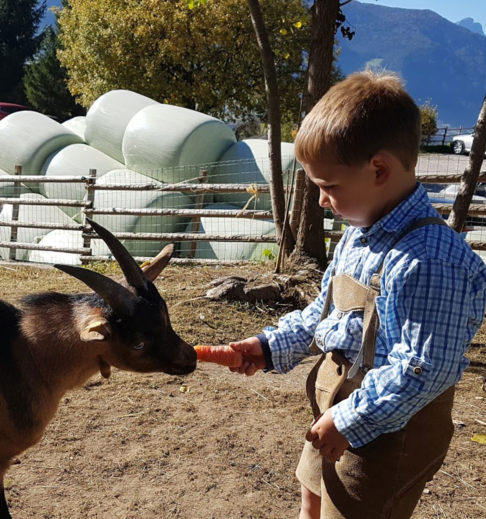 Familienurlaub - Junge in Lederhosen füttert Ziege - Hotel Amaten
