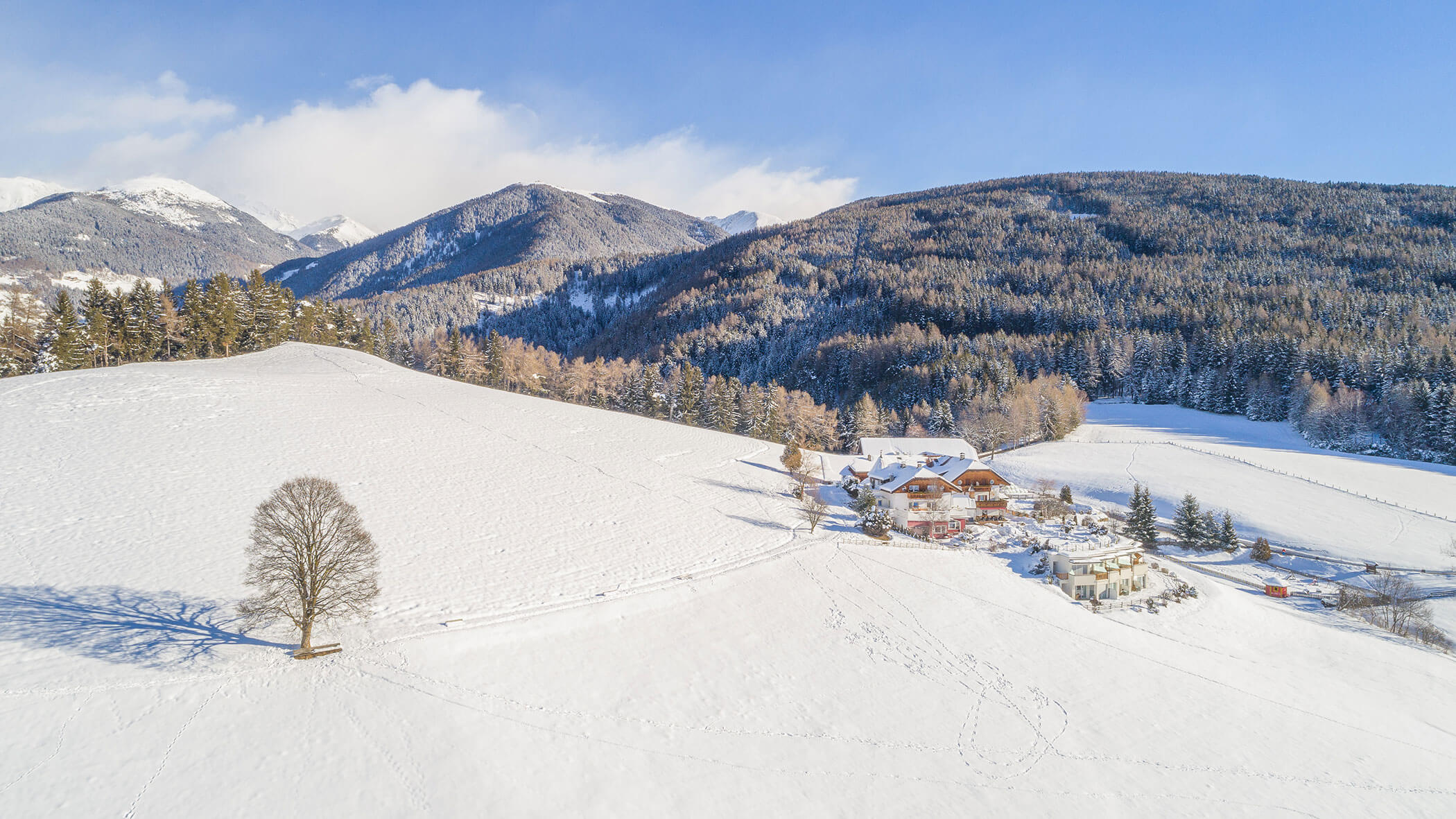 Liebesbaum im Winter - Ansicht von oben - Querformat - Hotel Amaten