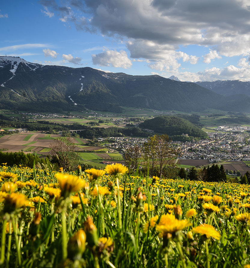 Summer in Val Pusteria - Hotel Amaten